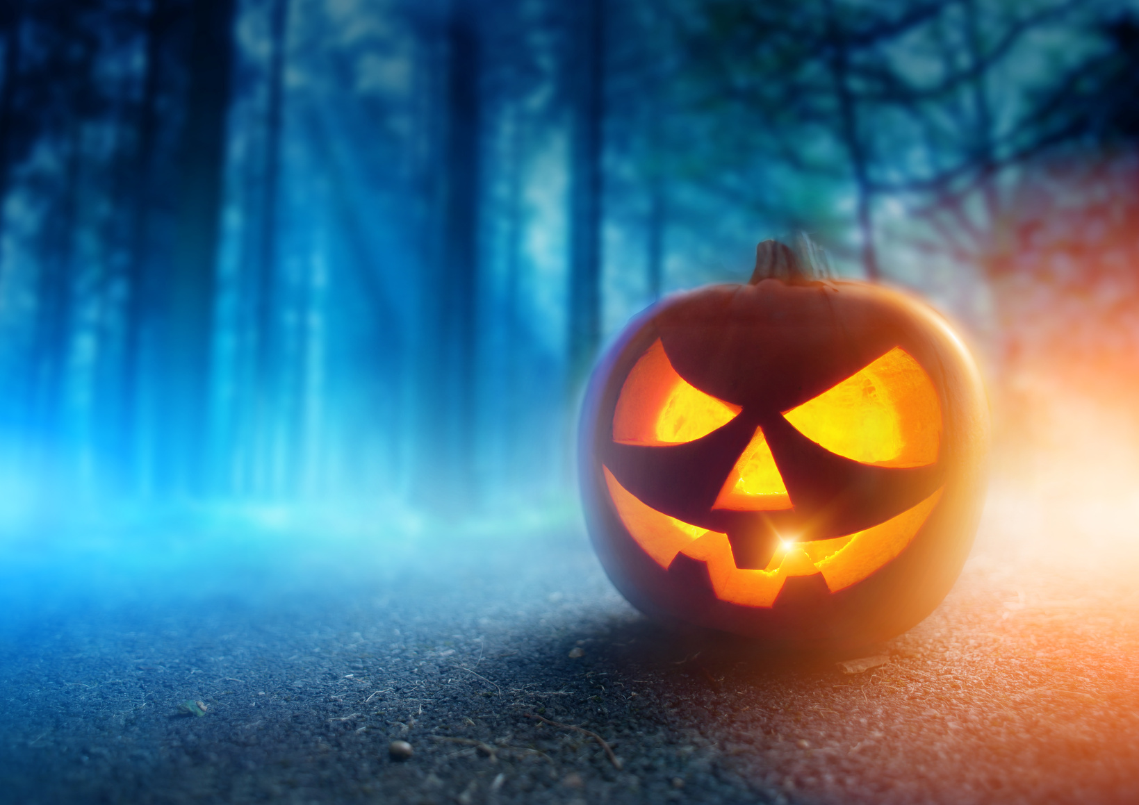 Stay Safe This Halloween!