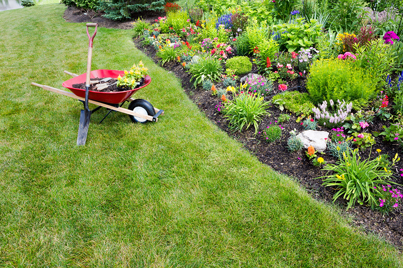 Mowing Tips to Get the Best Lawn on the Street!