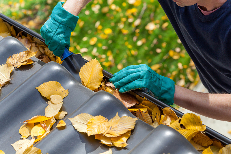 Your Guide to Fall Home Maintenance
