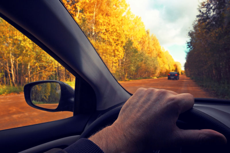 Maneuver Around These Fall Driving Dangers