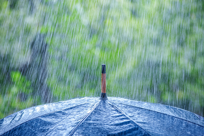 Do Small Businesses Really Need Umbrella Insurance?