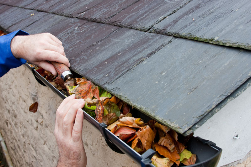 Your Fall Home Maintenance Tasks to Avoid Costly Insurance Claims